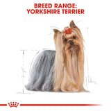 Royal Canin | Yorkshire Terrier Adult Wet Food Pouch | VetX