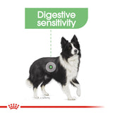 Royal Canin | Medium Dog | Digestive Care | VetX