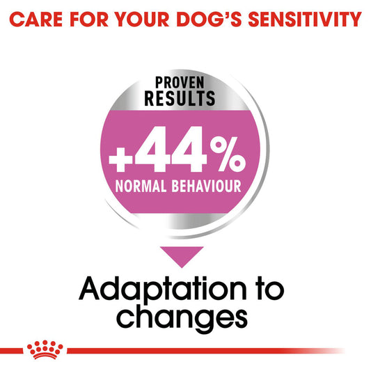 Royal Canin | Mini Dog | Relax Care | VetX