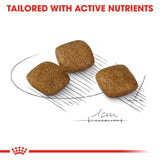 Royal Canin | Mini Dog | Relax Care | VetX