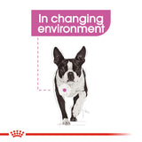 Royal Canin | Mini Dog | Relax Care | VetX