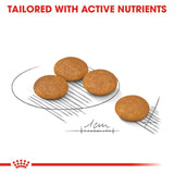 Royal Canin | Mini Dog | Digestive Care | VetX