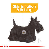 Royal Canin | Mini Dog | Dermacomfort | VetX