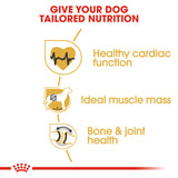 Royal Canin | Rottweiler Adult | VetX