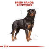 Royal Canin | Rottweiler Adult | VetX