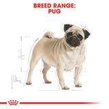 Royal Canin | Pug Adult | VetX