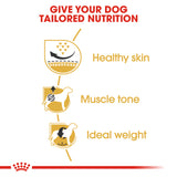 Royal Canin | Pug Adult | VetX