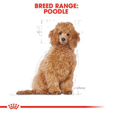 Royal Canin | Poodle Puppy | VetX