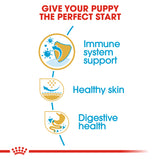 Royal Canin | Pug Puppy | VetX