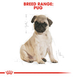 Royal Canin | Pug Puppy | VetX