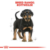 Royal Canin | Rottweiler Puppy | VetX
