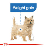 Royal Canin | Mini Dog | Light Weight Care | VetX