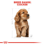 Royal Canin | Cocker Spaniel Puppy | VetX