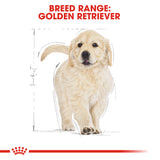 Royal Canin | Golden Retriever Puppy | VetX