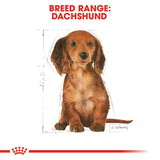 Royal Canin | Dachshund Puppy | VetX