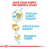 Royal Canin | Dachshund Puppy | VetX