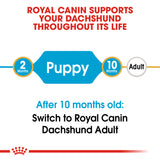 Royal Canin | Dachshund Puppy | VetX