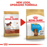Royal Canin | Dachshund Puppy | VetX