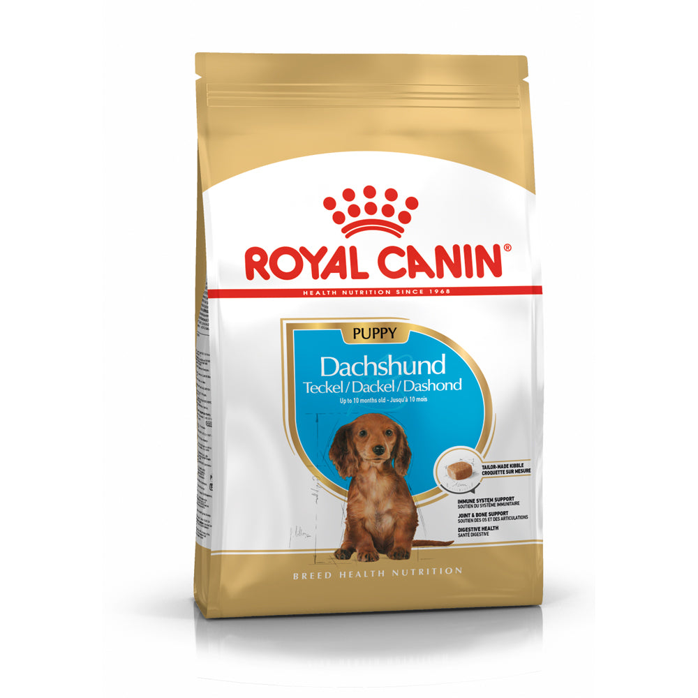 Royal Canin | Dachshund Puppy | VetX