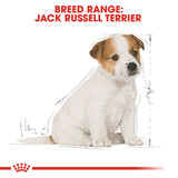 Royal Canin | Jack Russell Puppy | VetX