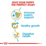 Royal Canin | Jack Russell Puppy | VetX