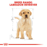 Royal Canin | Labrador Retriever Puppy | VetX
