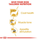 Royal Canin | Poodle Adult | Wet Food Pouch | VetX