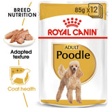Royal Canin | Poodle Adult | Wet Food Pouch | VetX