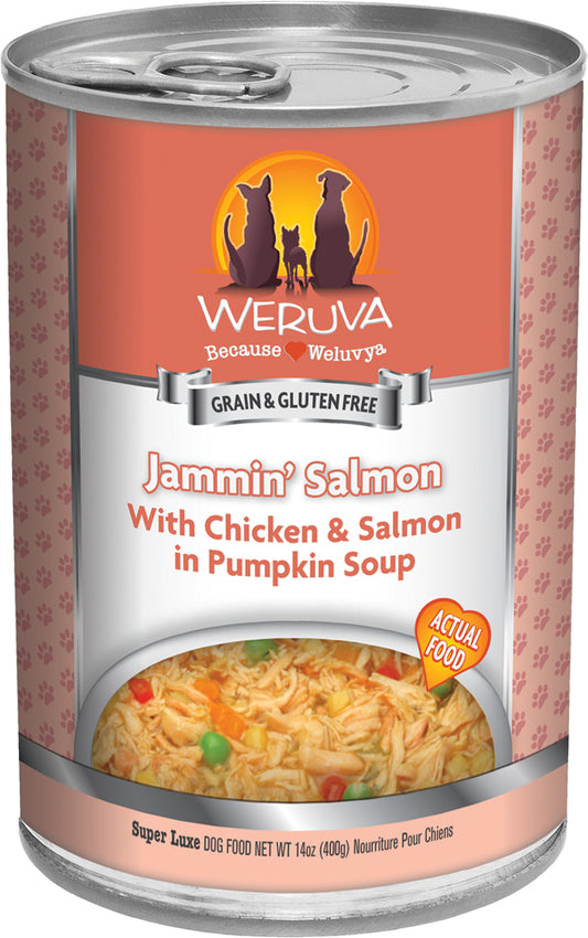 Jammin' Salmon For Dogs | VetX