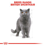Royal Canin | British Shorthair | Adult | VetX