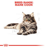 Royal Canin | Maine Coon | Adult | VetX