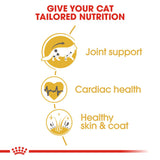 Royal Canin | Maine Coon | Adult | VetX