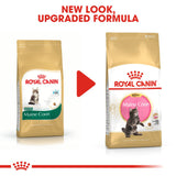 Royal Canin | Maine Coon | Kitten | VetX