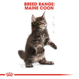 Royal Canin | Maine Coon | Kitten | VetX