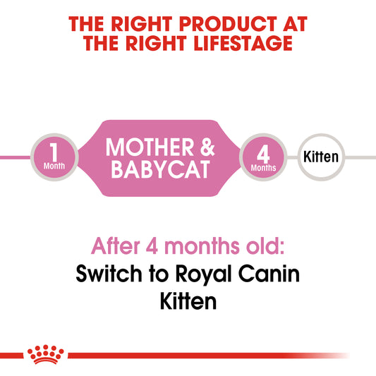 Royal Canin - Mother & Baby Cat | VetX