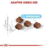 Royal Canin - Mother & Baby Cat | VetX