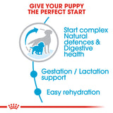 Royal Canin - Medium Starter Mother & Baby Dog | VetX