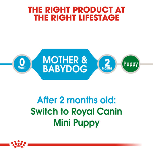 Royal Canin - Mini Starter Mother & Baby Dog | VetX
