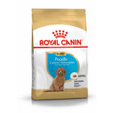 Royal Canin | Poodle Puppy | VetX