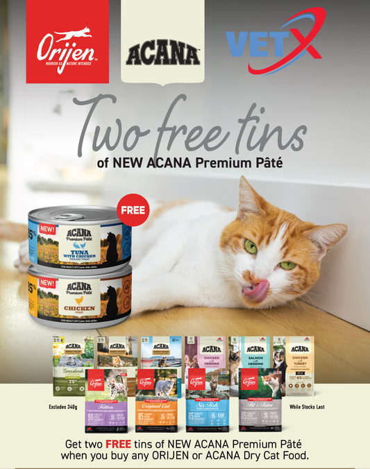 Acana Feline Premium Pâté Salmon with Chicken in Bone Broth