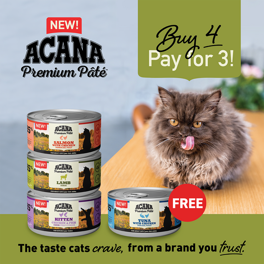 Acana Feline Premium Pâté Chicken in Bone Broth