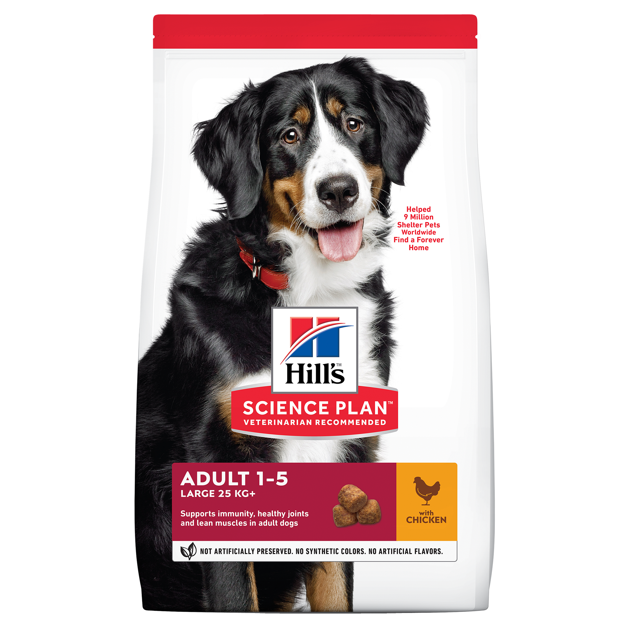 Hill's Science Plan Canine Adult Large Breed