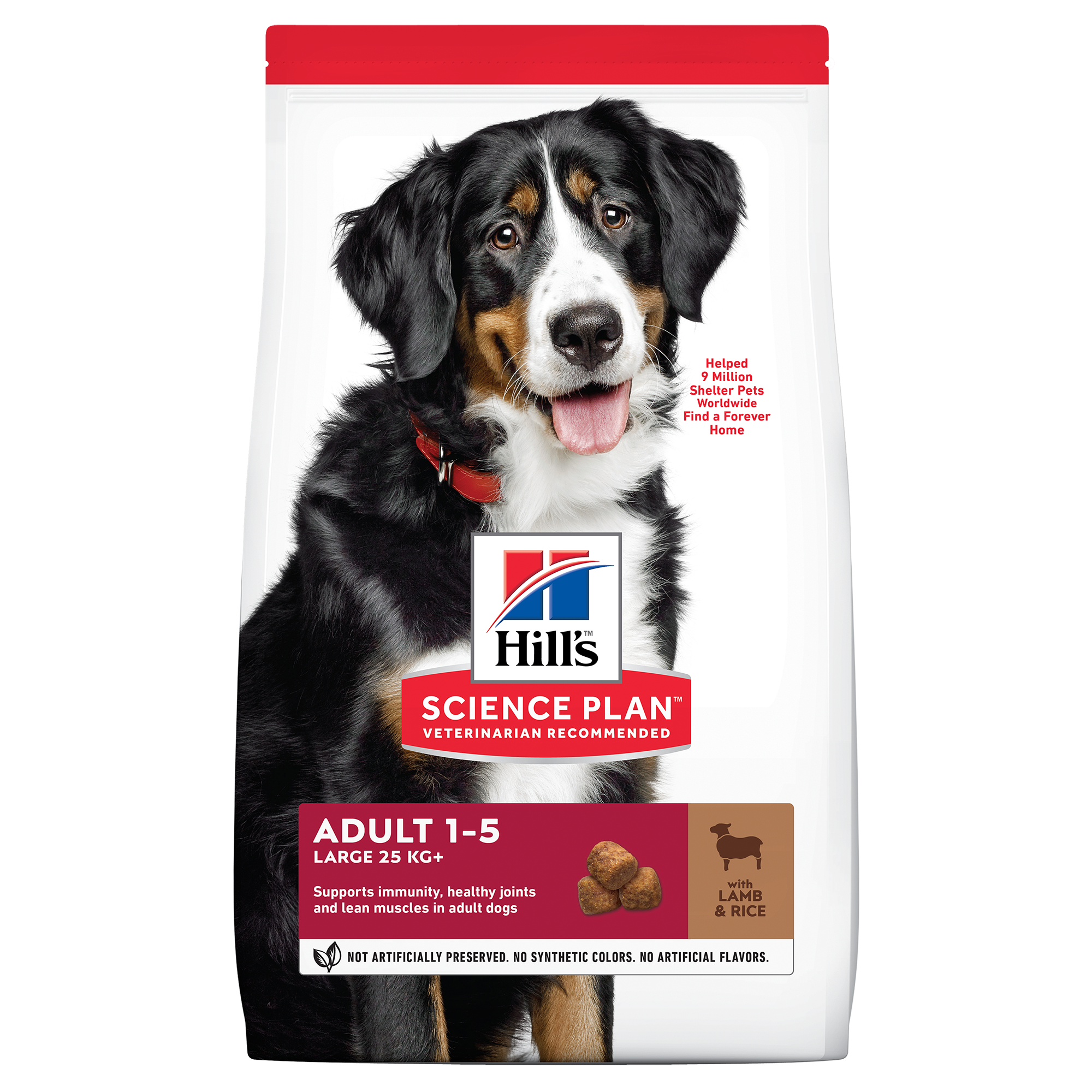 Hill's Science Plan Canine Adult Large Breed