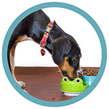 VetX collection all products for dog accessories