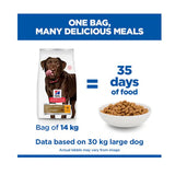 Hill's Science Plan Canine Healthy Mobility Large | VetX
