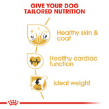 Royal Canin | Golden Retriever Adult | VetX