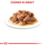 Royal Canin Cat | Ageing 12+ in Gravy | VetX