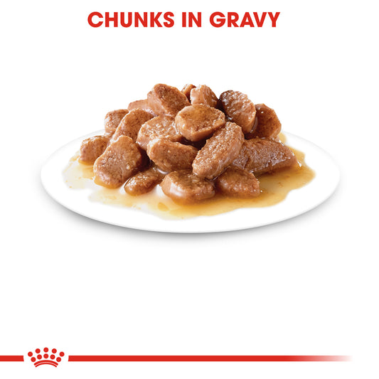 Royal Canin Cat | Instinctive in Gravy | VetX
