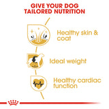 Royal Canin | Cocker Spaniel Adult | VetX