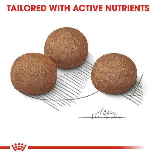 Royal Canin | Maxi Dog | Digestive Care
